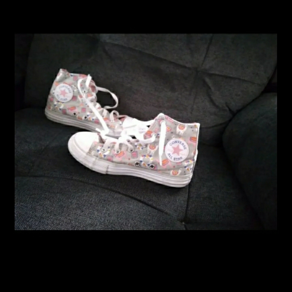 Llama converse